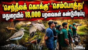 வனத்துறை கணக்கெடுப்பில் ஆச்சர்ய தகவல் | Encouraging information வனத்துறை கணக்கெடுப்பில் ஆச்சர்ய தகவல் | Encouraging information