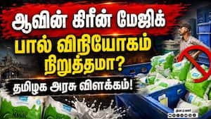 ஆவின் பச்சை பால் பாக்கெட் விநியோகம் நிறுத்தம் என்ற செய்தியால் பரபரப்பு! Aavin  