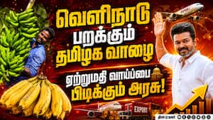 வாழைப்பழ ஏற்றுமதியை அதிகரிக்கும் தவெக அரசின் நடவடிக்கை  