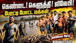 மாவட்ட செய்திகள்  