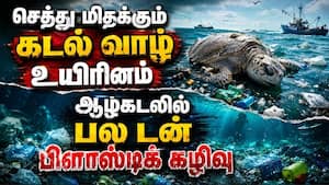 இயற்கையை சீரழிக்கும் மனித இனம்  