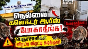 சுகாதார சீர்கேட்டால் முகம் சுளிக்கும் பொதுமக்கள்