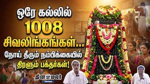 ஒரே கல்லில் 1008 சிவலிங்கங்கள்… நோய் தீரும் நம்பிக்கையில் திரளும் பக்தர்கள்!