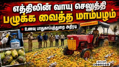 விற்பனைக்கு வந்த 1.50 டன் மாம்பழம்