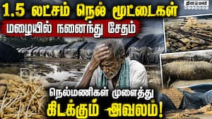 அலட்சியத்தால் நெல் வீணாவதால் விவசாயிகள் கவலை  
