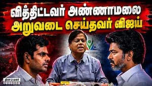 மாவட்ட செய்திகள்  