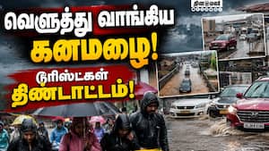 மாவட்ட செய்திகள்  