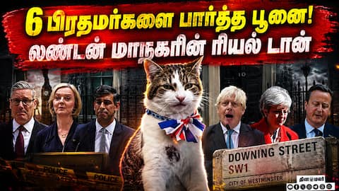6 பிரதமர்களை வீட்டுக்கு அனுப்பிய லேரி பூனை | Larry the Cat