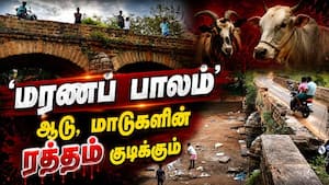 மதுரையில் தினமும் உயிர் காவு கேட்கும் 'பேய்ப்பாலம்'  