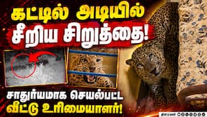 வீட்டுக்குள் புகுந்த சிறுத்தையை மீட்ட வனத்துறையினர்! Leopard | Panther