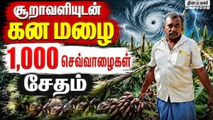 மாவட்ட செய்திகள்  