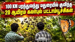 வண்ணத்துப்பூச்சிகள் வாழும் மதுரையின் ஹார்ட் ஸ்பாட்  தெரியுமா?