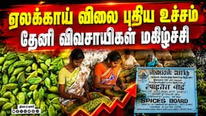 மாவட்ட செய்திகள் மாலை 4 மணி | 30-06-2026