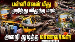 மும்பையில் பள்ளி வேன் மீது மரம் விழுந்து மாணவனுக்கு சோகம்! Heavy rain  