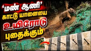 காட்டு யானைகளின் உயிரோடு விளையாடும் 'மண் ஆணி' | Soil Nailing Project
