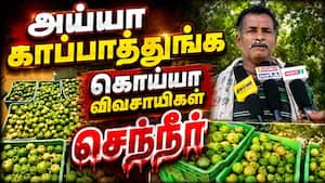 விலை வீழ்ச்சியால் விவசாயிகள் வேதனை  