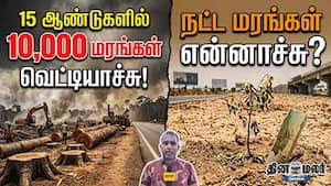 15 ஆண்டுகளில் 10,000 மரங்கள் வெட்டியாச்சு! நட்ட மரங்கள் என்னாச்சு? 15 ஆண்டுகளில் 10,000 மரங்கள் வெட்டியாச்சு! நட்ட மரங்கள் என்னாச்சு?