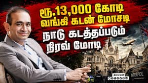 நிரவ் மோடியை நாடு கடத்தும் நடவடிக்கையில் பிரிட்டன் அதிகாரிகள் தீவிரம்  