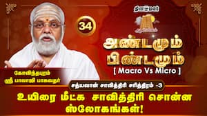 எமதூதர்கள் இழுத்து செல்வதை தியான காட்சியில் கண்ட சுவாமிகள்! | சத்யவான் சாவித்திரி சரித்திரம் -3