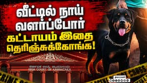 வளர்ப்பு நாய் கடித்தால் உரிமையாளரே பொறுப்பு: ஐகோர்ட் அதிரடி உத்தரவு | Bengaluru Dog Case