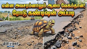 என்ன அவசரம்னாலும் ஆமை வேகம்தான்!  ரோடு கண்டிஷன் அப்படி