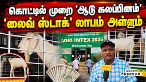 ஒரு முதலீட்டில் தொடரும் பல லாபம் | Continuous profit from a single investment in goat farming ஒரு முதலீட்டில் தொடரும் பல லாபம் | Continuous profit from a single investment in goat farming