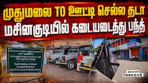 வன விலங்கு மற்றும் சுற்றுச்சூழல் பாதுகாப்பு கருதி ஐகோர்ட் உத்தரவு
