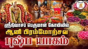 வெட்டி வேர் சப்பரத்தில் எழுந்தருளிய ஸ்ரீநிவாசப் பெருமாள்