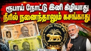 இந்தியாவில் அறிமுகமாகிறது பிளாஸ்டிக் ரூபாய் நோட்டுகள்  