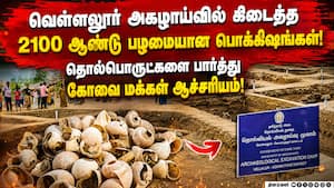 வெள்ளலூர் அகழாய்வு பொருட்களை பார்த்து ரசித்த கோவை மக்கள்! Archaeology | Vellalur வெள்ளலூர் அகழாய்வு பொருட்களை பார்த்து ரசித்த கோவை மக்கள்! Archaeology | Vellalur