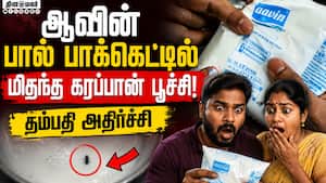 கரப்பான்பூச்சி சம்பவத்துக்கு மன்னிப்பு கோரியது ஆவின்: மீண்டும் நிகழாது என உறுதி aavin | milk packet கரப்பான்பூச்சி சம்பவத்துக்கு மன்னிப்பு கோரியது ஆவின்: மீண்டும் நிகழாது என உறுதி aavin | milk packet
