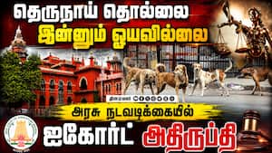 தெருநாய் தொல்லை பிரச்னைக்கு என்ன தீர்வு : ஐகோர்ட் கேள்வி தெருநாய் தொல்லை பிரச்னைக்கு என்ன தீர்வு : ஐகோர்ட் கேள்வி