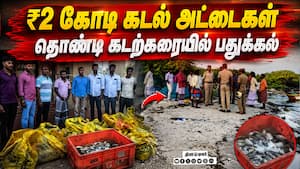 மாவட்ட செய்திகள் மாலை 4 மணி   