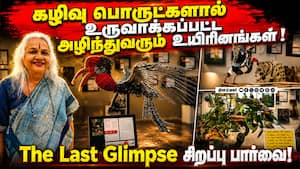 கழிவு பொருட்களால் உருவாக்கப்பட்ட அழிந்துவரும் உயிரினங்கள்!