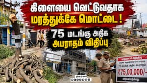 பசுமையை அழிப்பவர்களை  சும்மா விட்டுவிடக்கூடாது  Green Care Organisation 