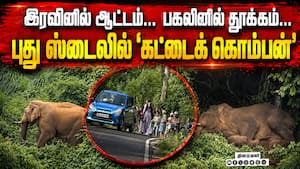 கட்டைக் கொம்பனுக்கு கட்டம் சரியில்லையோ?