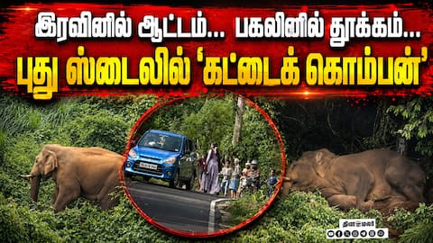 கட்டைக் கொம்பனுக்கு கட்டம் சரியில்லையோ?