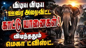 ஊரையே அலற விட்ட யானைகள்... சிக்கிக்கொண்ட வனத்துறை டீம் Gudalur Elephant Video  