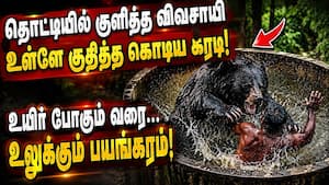 3 மணி நேரம் சடலத்தை நெருங்க விடாத கரடி... கற்பனை கூட செய்ய முடியாத கொடூரம்  
