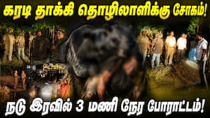 ஊருக்குள் வரும் கரடிகளால் பொதுமக்கள் பீதி  