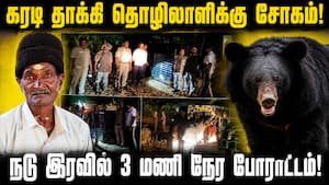 ஊருக்குள் வரும் கரடிகளால் பொதுமக்கள் பீதி | Tenkasi ஊருக்குள் வரும் கரடிகளால் பொதுமக்கள் பீதி | Tenkasi