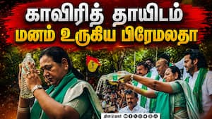 மாவட்ட செய்திகள்  