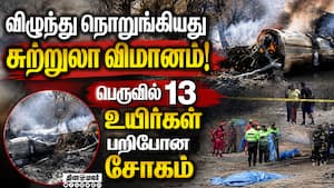நாஸ்கா கோடுகளை ரசித்து கொண்டிருந்தபோது துயரம் Tourist plane crash 