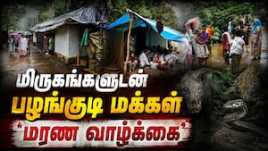 இத்துப்போன சேலை, கிழிந்த தார்பாலின் விரிப்பு குடிசைக்குள் முடங்கும் பரிதாபம்  