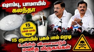 ஐஏஎஸ் சிங்கம் துக்காராம் அம்பலப்படுத்திய மோசடி: அலறும் மகாராஷ்டிரா | Milk Adulteration Scam