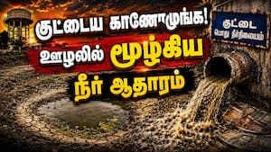 ₹8 லட்சம் செலவில் மாநகராட்சி மின்வேலி அமைத்தது யாருக்கு?  