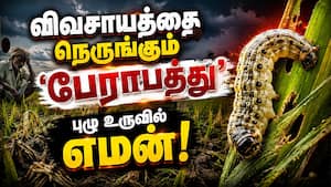 உடனடியாக மருந்து கண்டுபிடிக்கும் நெருக்கடியில் ஆராய்ச்சியாளர்கள் 