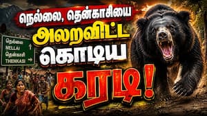 நெல்லையை அலறவிட்ட கரடி இதுதானா? கூண்டில் சிக்கியதால் பரபரப்பு Kadayam  