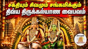 சக்தியும் சிவமும் சங்கமிக்கும் திவ்ய திருக்கல்யாண வைபவம்  