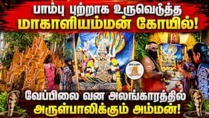 பாம்பு புற்றாக உருவெடுத்த மாகாளியம்மன் கோயில்!  